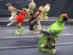 Birds