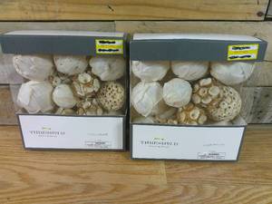 lot 70 image: Set of 2 Vase Filler, 15 Pieces In Color Cream By Threshold