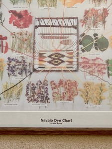 lot 86 image: Vintage Framed Navajo Plant Dye Chart Print by Ella Myers