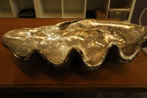 Large Metallic Shine Shell