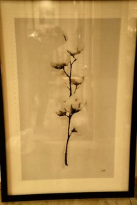 Framed Art