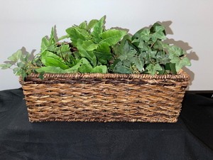 Wicker Basket with Plant