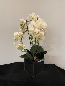 Mirrored Glass Planter Cube