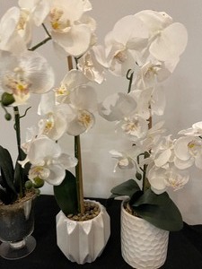 Lot of 3 Potted Faux Flowering Plants