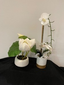 Lot of 2 Ceramic Potted Flowering Plant Decor