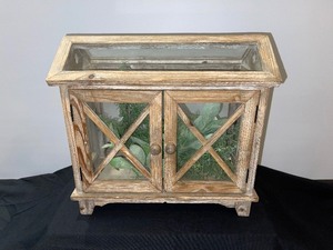 Wood And Glass Terrarium