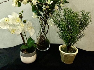 Lot of 3 Potted Faux Plants