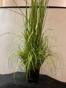 Potted Plant of Faux Grasses