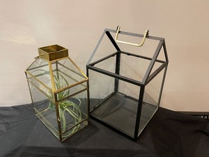 Lot of 2 Terrariums