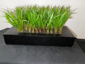 Accent Piece with Faux Grasses