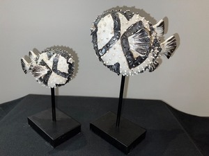Set of Two Decor Fish