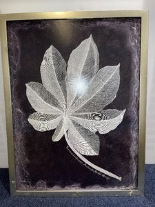 Framed Art