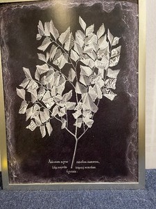 Framed Art