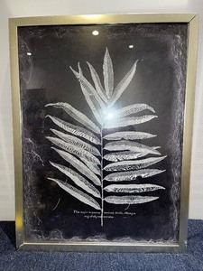 Framed Art