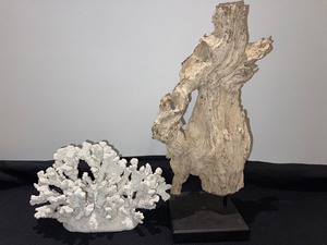 Lot of 2 Decorative Coral and Drift Wood Pieces