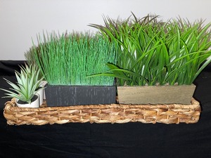 Tray of Faux Plantings