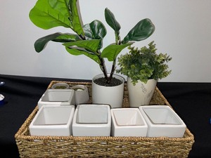 Woven Basket Tray WVarious Ceramic Pots