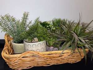 Woven Basket of Potted Faux Plants