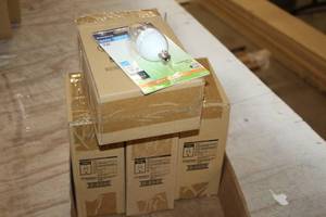 lot 771 image: Lot of (4 Boxes) Westinghouse Soft White 60Weq7W Dimmable Candelabra Base Decorative LED Bulbs 4-count ( 16 total items )