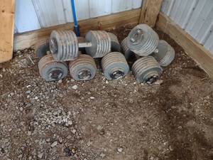 lot 50 image: Assorted Dumb Bells...