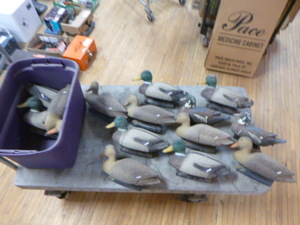14 Plastic Duck Decoys