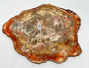 lot 193 image: Large Petrified Wood Slab Slice