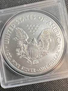 2019 AMERICAN SILVER EAGLE 1 TROY OZ .999 FINE SILVER UNC IN CASE