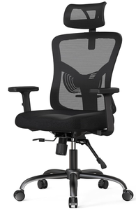 lot 57 image: NOBLEWELL Ergonomic Office Chair, Desk Chair with 2 Adjustable Lumbar Support