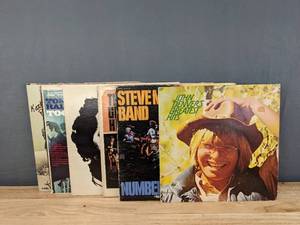 lot 21C image: (10) Vintage Records includes Steve Miller Band, John Denver, The Kinks, The Beach Boys, Johnny Mathis, and More E