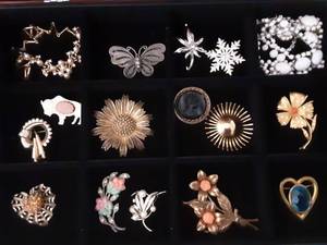 Lot Of Brooches & Jewelry (Not The Tray)