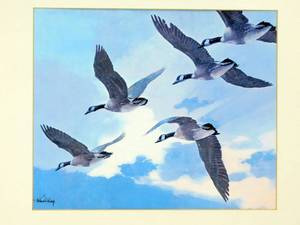 lot 6 image: Vintage Richard E Bishop Canadian Geese Framed and Matted Print