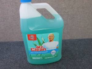 3 Gallons Mr.Clean MultiSurface Cle...