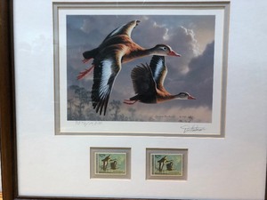 lot 193 image: Framed Signed Numbered Federal Duck Stamp Print 