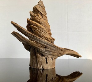 lot 318 image: Very Cool Old Sculptural Dock Piling Driftwood 