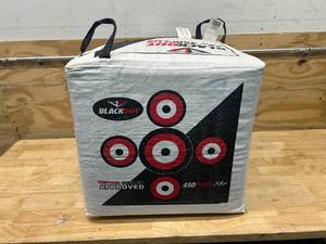 lot 120 image: BASS PRO SHOPS BlackOut X-Treme 450 FPS Field Point Target (Retails for $74.99)