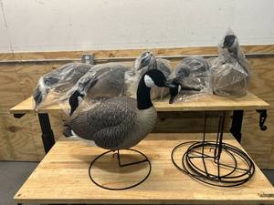 lot 141 image: NORTHERN FLIGHT Full-Body Canada Goose Decoys- 6 Piece (Retails for $135)