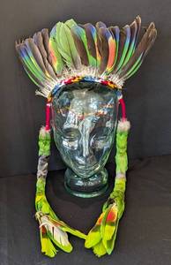 Gorgeous Parrot Feather Headdress
