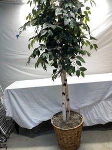 lot 29 image: Faux River Birch Tree