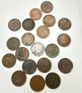 Lot of 20 Indian Head Pennies