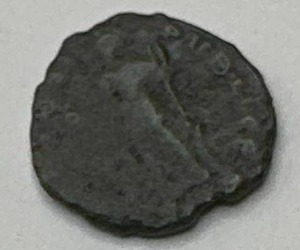 Ancient Roman Coin from Dig