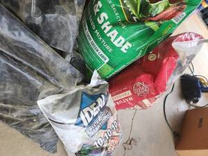 Lawn Seed