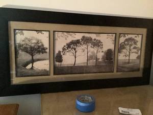 Tree Picture