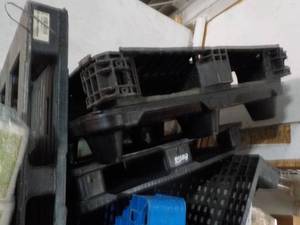 lot 158 image: 4 Plastic Pallets...