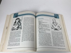 lot 151 image: 1992 TSR Forgotten Realms Pirates Of The Fallen Stars 9346 Dungeons & Dragons 2nd Edition