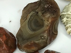 lot 459 image: Lot of Rocks - Agates & More