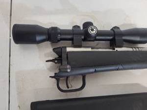 Savage B-Mag .17WSM -- Gun Smith Special