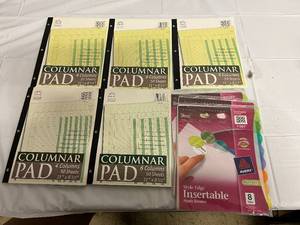 5 x 50 Sheet Columnar Pads and 3 Packs of Insetable Plastic Dividers