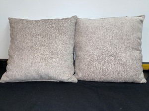 Set Of 2 Matching Accent Pillows