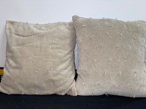 Set Of 2 Matching Accent Pillows