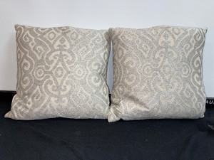 Set Of 2 Matching Accent Pillows